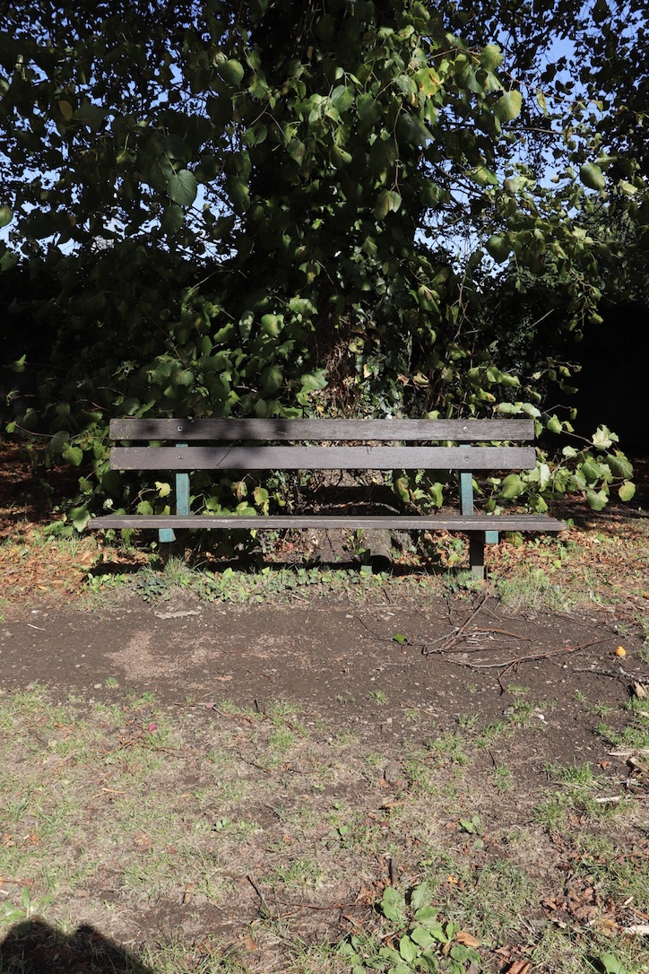 UNADJUSTEDNONRAW_thumb_ece