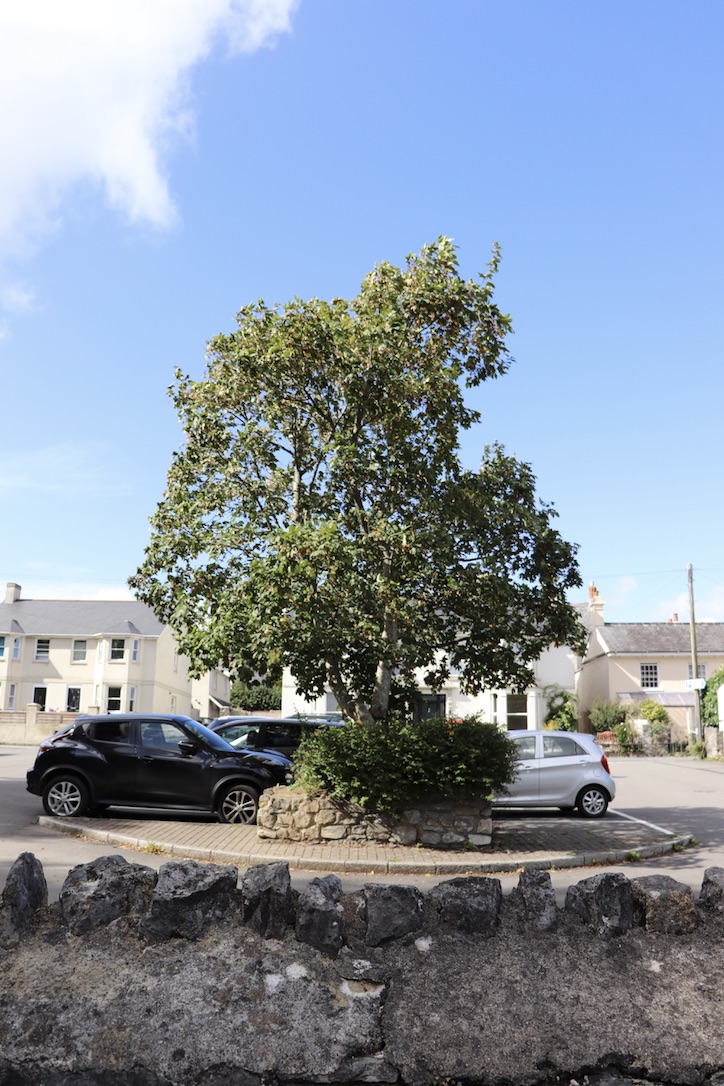 UNADJUSTEDNONRAW_thumb_ed4