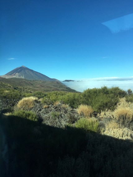 unadjustednonraw_thumb_37d