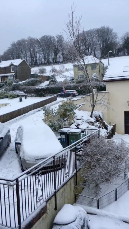 unadjustednonraw_thumb_229