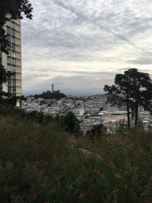 UNADJUSTEDNONRAW_thumb_834